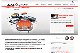 WordPress Theme
